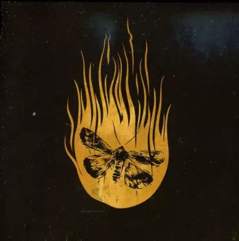 Mistakes I Meant To Make