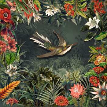 Album Martin Spengler & Die Foischn Wiener: Es Könnt Oba Ois Gaunz Aundas Sein