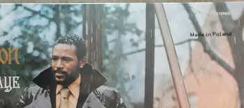 LP Marvin Gaye: What's Going On