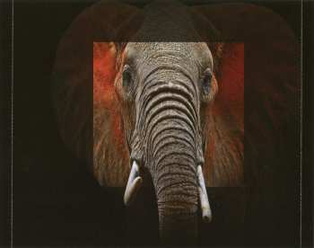 CD Mastedon: It's A Jungle Out There