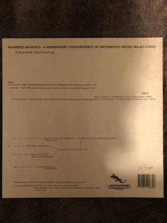 LP Maurizio Ravalico: A Momentary Convergence of Differently Paced Trajectories NUM