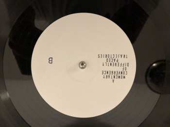 LP Maurizio Ravalico: A Momentary Convergence of Differently Paced Trajectories NUM