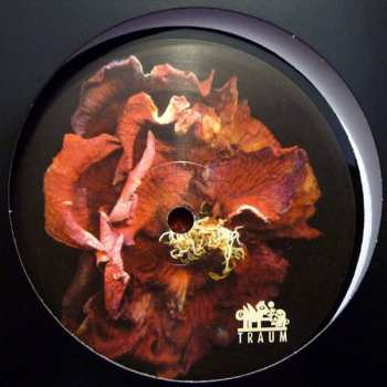 LP Max Cooper: Expressions