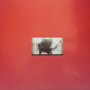 LP Meat Wave: The Incessant