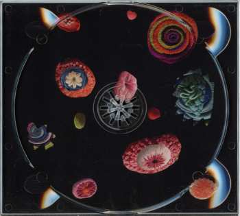 CD Medejin: The Garden DIGI