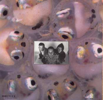 LP Medeski Martin & Wood: Friday Afternoon In The Universe