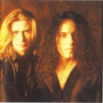 CD Megadeth: Risk