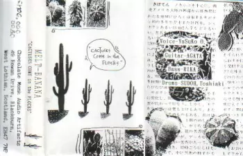 Cactuses Come In The Flocks
