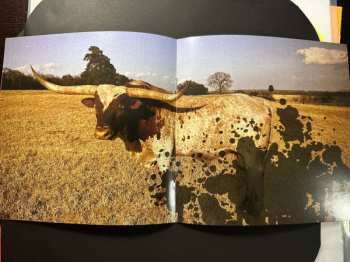 2LP Melvins: The Bulls & The Bees + Electroretard LTD | CLR