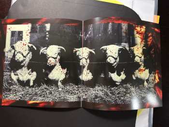 2LP Melvins: The Bulls & The Bees + Electroretard LTD | CLR