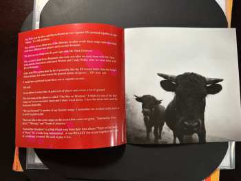 2LP Melvins: The Bulls & The Bees + Electroretard LTD | CLR