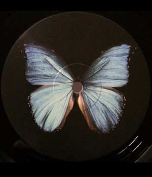 LP Metric: Fantasies
