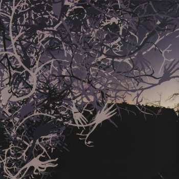 CD MGR: Amigos De La Guitarra