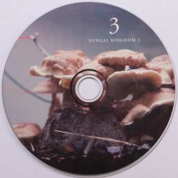 3CD/Set di cofanetti Michael Prime: Bioelectrical Music