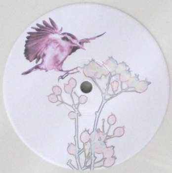 LP Michael Cashmore: The Snow Abides