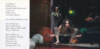 CD Michael Hedges: The Road To Return