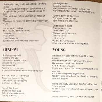 CD Mick Flannery: Goodtime Charlie