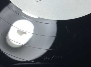 LP/DVD Midlake: Live In Denton, TX