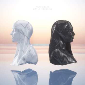Album Milk & Bone: Little Mourning