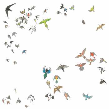 CD Modern Nature: No Fixed Point In Space