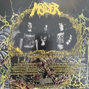 LP Molder: "Engrossed In Decay" CLR | LTD