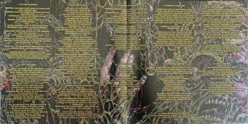 LP Molder: "Engrossed In Decay" CLR | LTD