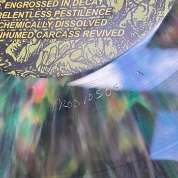 LP Molder: "Engrossed In Decay" CLR | LTD