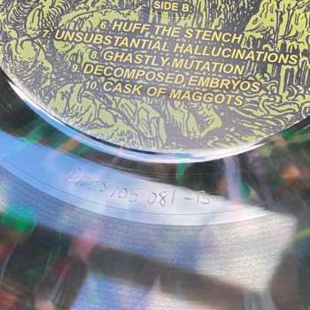 LP Molder: "Engrossed In Decay" CLR | LTD