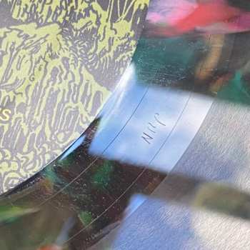 LP Molder: "Engrossed In Decay" CLR | LTD