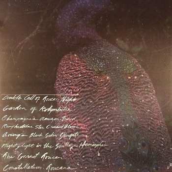 LP Monopoly Child Star Searchers: The Garnet Toucan