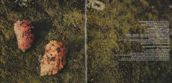 CD Morgan: The River And The Stone