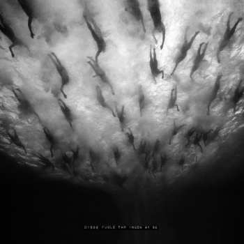 CD Morild: Disse Fugle Får Ingen At Se