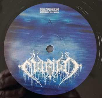 LP Morild: VI