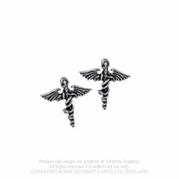 Merch Mötley Crüe: Orecchini Swords