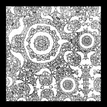 Mouthus/bulbs: Split