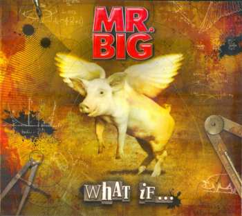 LP/CD/DVD/Set di cofanetti Mr. Big: What If... DLX | DIGI