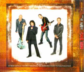 LP/CD/DVD/Set di cofanetti Mr. Big: What If... DLX | DIGI