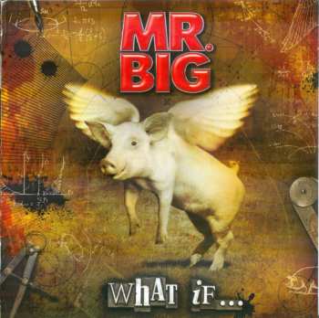 LP/CD/DVD/Set di cofanetti Mr. Big: What If... DLX | DIGI