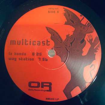 2LP Multicast: Rural Sessions