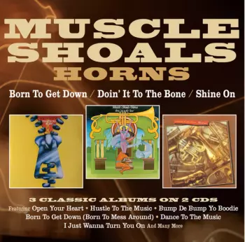 Born To Get Down / Doin' It To The Bone / Shine On