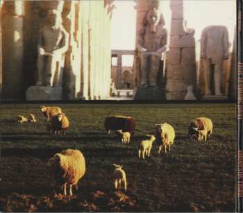 CD Musée Mécanique: From Shores Of Sleep