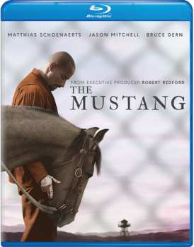 Blu-ray Mustang: Mustang