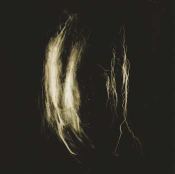 LP My Heart, an Inverted Flame: Plague Notes, Unnamed, Unknown, A Finger Dragged Through Dust