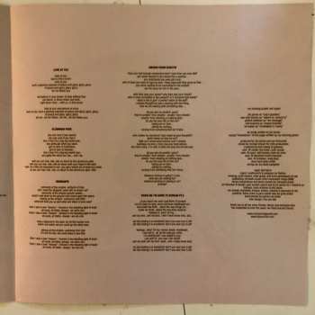 2LP My Morning Jacket: Evil Urges