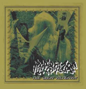 CD Mycorrhizae: The Great Filtration