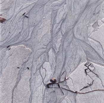 CD Ingrid Schmoliner: Haar