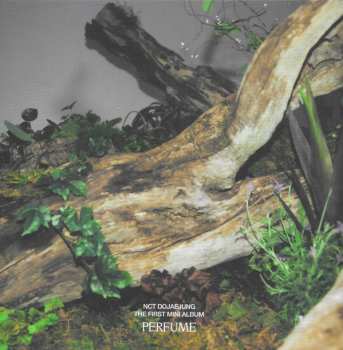 CD/Set di cofanetti NCT Dojaejung: Perfume