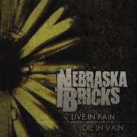 CD Nebraska Bricks: Live In Pain, Die In Vain
