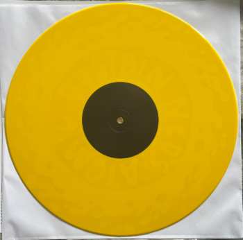 2LP Ned's Atomic Dustbin: Some Furtive Years: A Ned's Anthology CLR | LTD | NUM