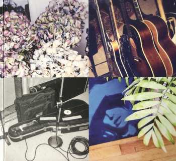 CD Marianne Faithfull: Negative Capability